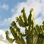 Casa Jable Anne Willa Costa Adeje (Tenerife)