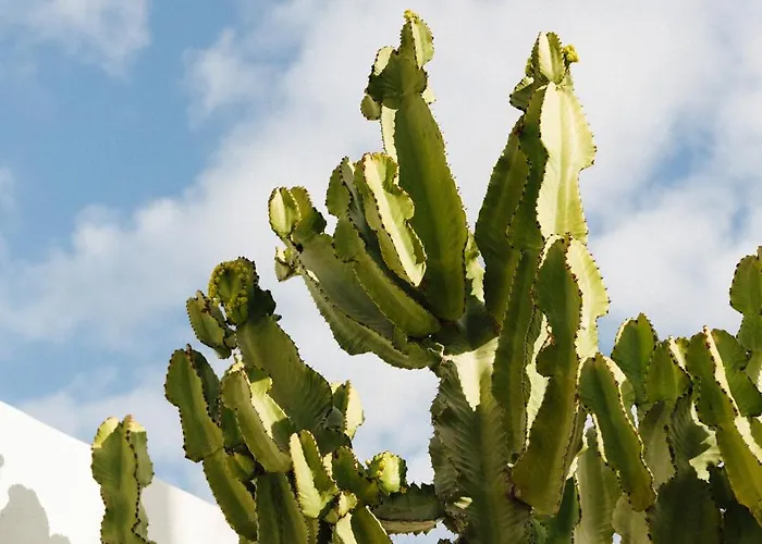 Casa Jable Anne Вилла Адехе