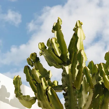 Casa Jable Anne ヴィラ アデヘ